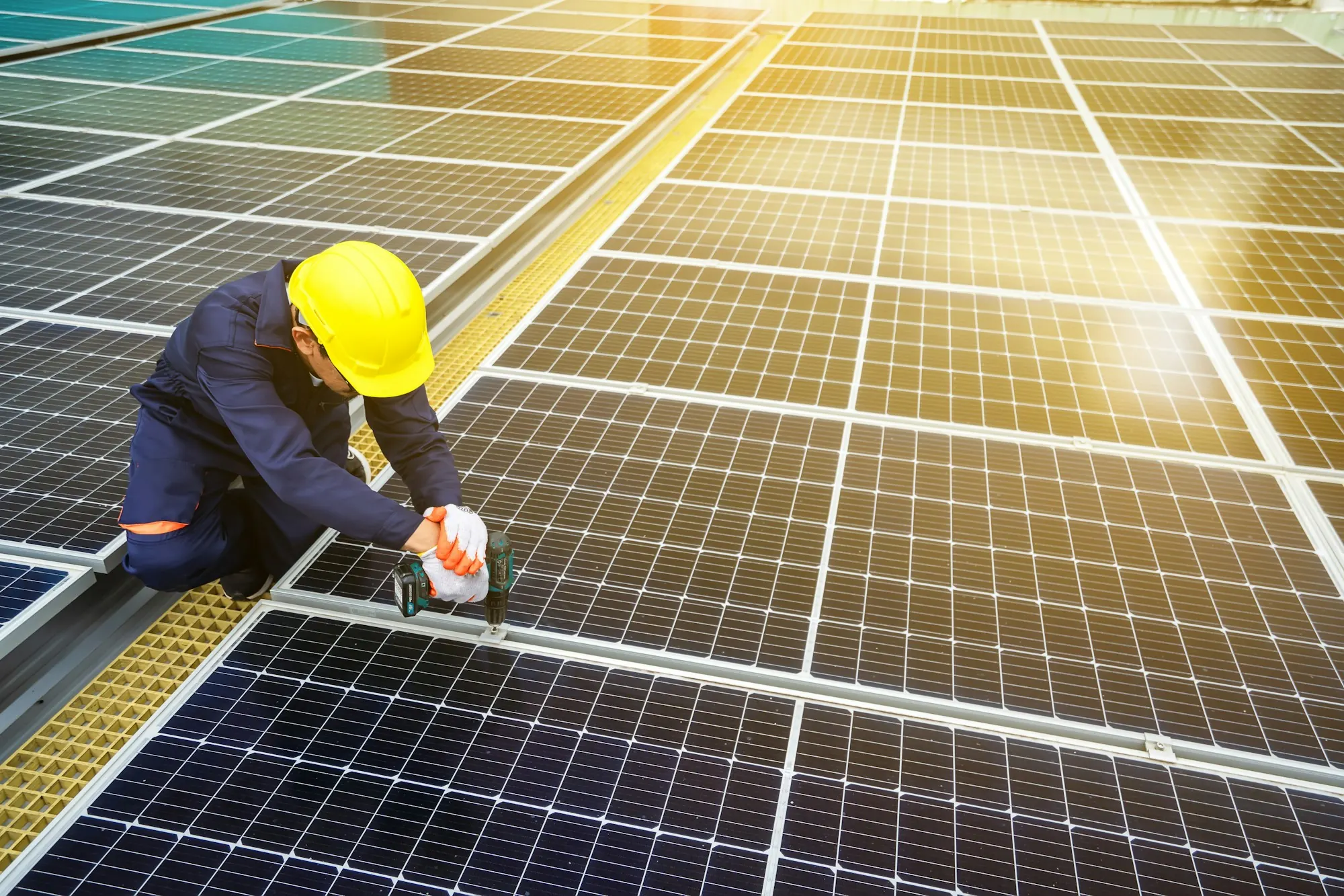 Technician installing solar panels in warm evening light